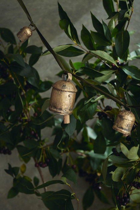 BRASS BELL - Noah Medium