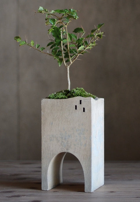 PLANTER - Arch