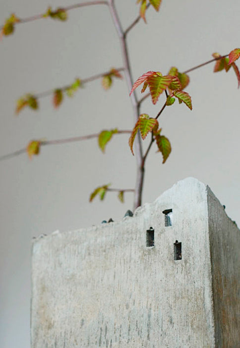 PLANTER - Arch