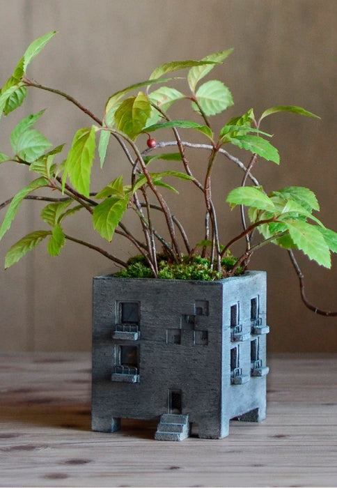 PLANTER - Mansion