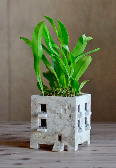 PLANTER - Mansion