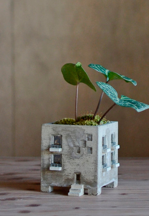 PLANTER - Mansion
