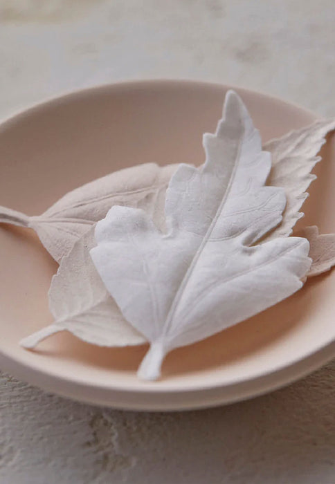 HAKO PAPER Incense Leaves Set with ceramic dish