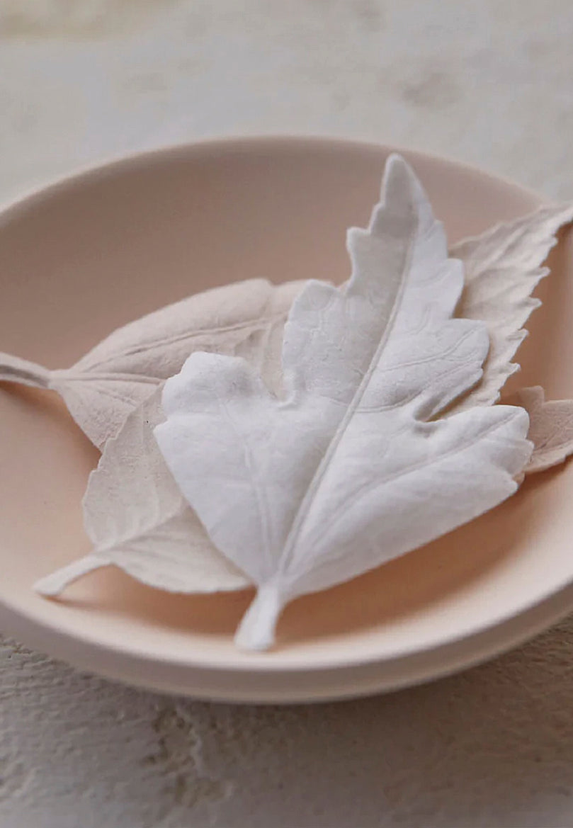 HAKO PAPER Incense Leaves Set with ceramic dish High Tea with Mrs Woo